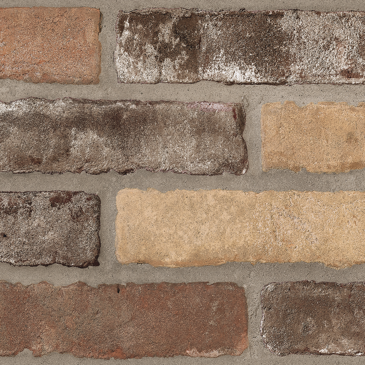 TERRA ROCK-GRES PORCELLANATO-EFFETTO MURETTO-COLORE NATURALE-CAMPIONE GRATUITO