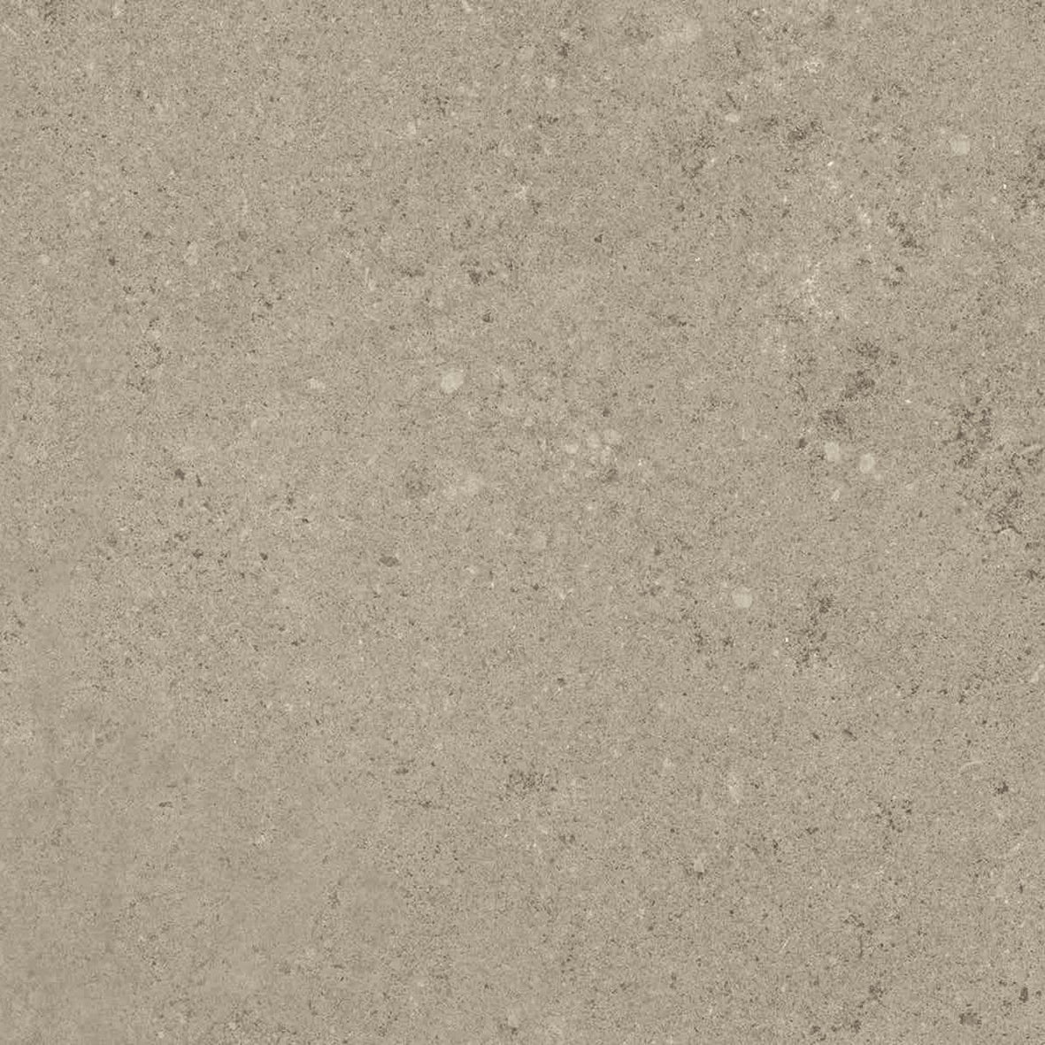 DYNAMICA-GRES PORCELLANATO-EFFETTO RIVESTIMENTO-COLORE MARRONE-CAMPIONE GRATUITO