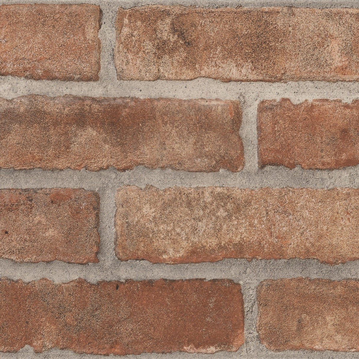 TERRA ROCK-GRES PORCELLANATO-EFFETTO MURETTO-COLORE ROCCIA-CAMPIONE GRATUITO